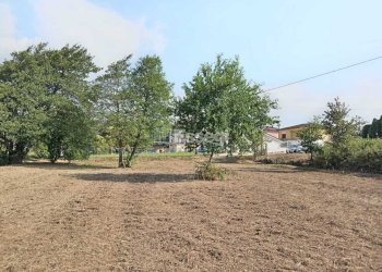 foto terreno - Agricultural land Via per Chiatri, Lucca - photo 2