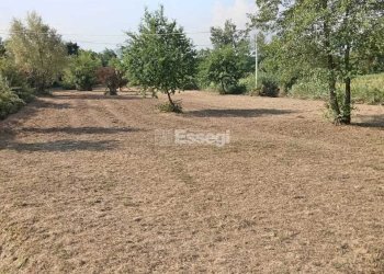 foto terreno - Agricultural land Via per Chiatri, Lucca - photo 4