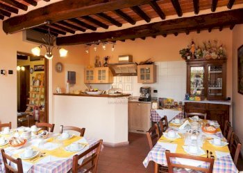 Bed & Breakfast di successo in posizione strategic - Casale Via di Rocchino 60, Lucca - foto 13