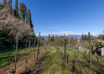 Casale diviso in tre unita abitative  (9).jpeg - Casale Via della Pollicchia 145, Lucca - foto 7