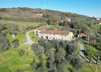 vendesi rustico con giardino lucca collineDJI_0405 - Casale Traversa V Via della Pieve Santo Stefano, Lucca - foto 2