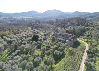 vendesi rustico con giardino lucca collineDJI_0417 - Casale Traversa V Via della Pieve Santo Stefano, Lucca - foto 4