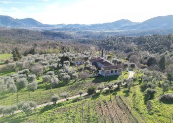 vendesi rustico con giardino lucca collineDJI_0418 - Casale Traversa V Via della Pieve Santo Stefano, Lucca - foto 5