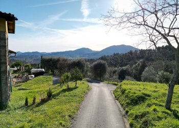 vendesi rustico con giardino lucca collineDJI_0429 - Casale Traversa V Via della Pieve Santo Stefano, Lucca - foto 10