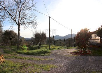 vendesi rustico con giardino lucca collineIMG_3878 - Casale Traversa V Via della Pieve Santo Stefano, Lucca - foto 14