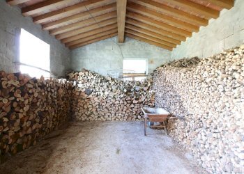 vendesi rustico con giardino lucca collineIMG_3824 - Casale Traversa V Via della Pieve Santo Stefano, Lucca - foto 18