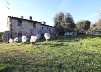 vendesi rustico con giardino lucca collineIMG_3827 - Casale Traversa V Via della Pieve Santo Stefano, Lucca - foto 12