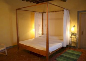 FATTORIA STORICA con Eccellente Produzione Vitivi - Casale Via di matraia, Lucca - foto 30