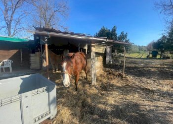 Porzione di casa colonica ristrutturata completame - Casale Via dei bertolotti, Lucca - foto 11
