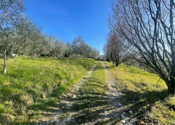 Porzione di casa colonica ristrutturata completame - Casale Via dei bertolotti, Lucca - foto 14