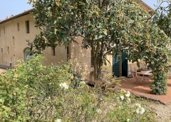 vendesi rustico colline lucchesi ristrutturato IMG - Casale Via della Scogliera 182, Lucca - foto 8