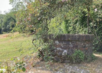 vendesi rustico colline lucchesi ristrutturato IMG - Casale Via della Scogliera 182, Lucca - foto 16