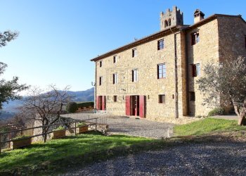 vendesi rustico ristrutturato con piscina luccaIMG - Casale Via della Pieve Santo Stefano 7165, Lucca - foto 5