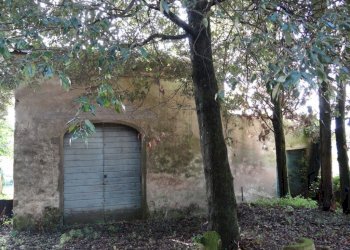 Villa storica con vista panoramica (2).jpg - Villa Via Ludovica 6927, Lucca - foto 14