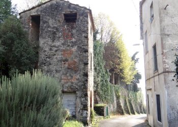 Villa storica con vista panoramica (40).jpg - Villa Via Ludovica 6927, Lucca - foto 20