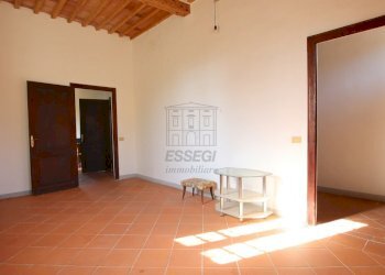 vendesi villetta indipendente montecarloIMG_4172.J - Villa Via Cercatoia Alta, Montecarlo - foto 12