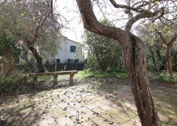 vendesi villetta indipendente montecarloIMG_4232.J - Villa Via Cercatoia Alta, Montecarlo - foto 23