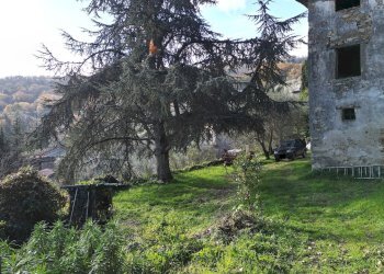 vendesi rustico con giardino lucca DJI_0568.JPG - Casale via del brennero  1950, Lucca - foto 7