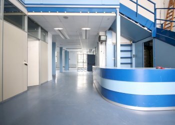 Grande negozio in affitto in area commerciale (15) - Locale Commerciale Via delle Ville Prima, Acquacalda 895, Lucca - foto 2