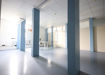 Grande negozio in affitto in area commerciale (39) - Locale Commerciale Via delle Ville Prima, Acquacalda 895, Lucca - foto 6