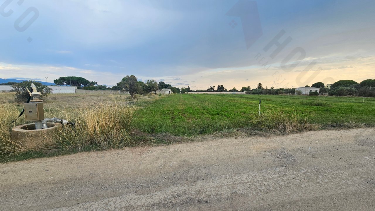 20250930_172332.jpg - Terreno agricolo Strada Comunale Buon Cammino, Quartu Sant'Elena - foto 1