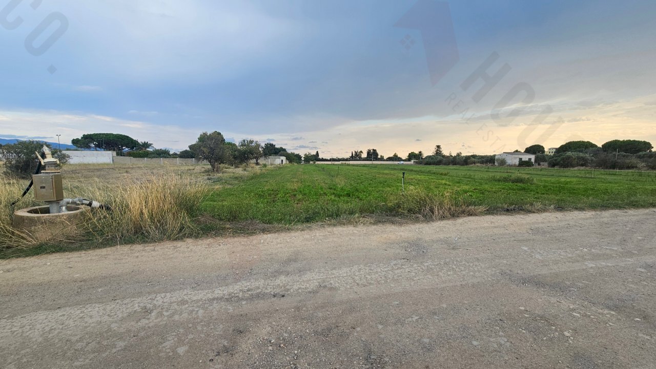 20250930_172339.jpg - Terreno agricolo Strada Comunale Buon Cammino, Quartu Sant'Elena - foto 2