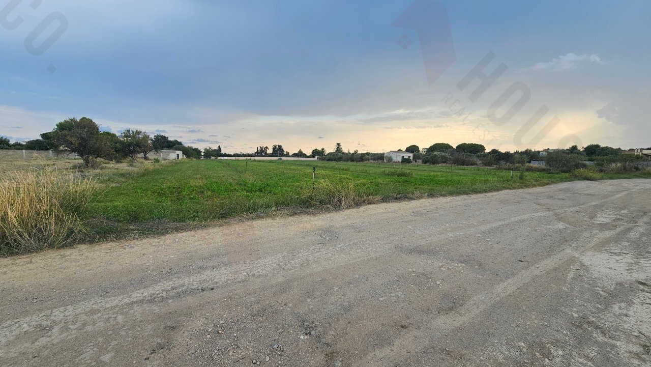 20250930_172342.jpg - Terreno agricolo Strada Comunale Buon Cammino, Quartu Sant'Elena - foto 3