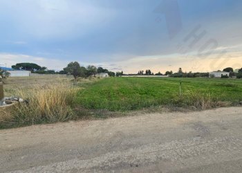 20250930_172332.jpg - Terreno agricolo Strada Comunale Buon Cammino, Quartu Sant'Elena - foto 1