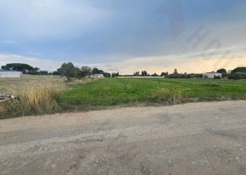 20250930_172339.jpg - Terreno agricolo Strada Comunale Buon Cammino, Quartu Sant'Elena - foto 2