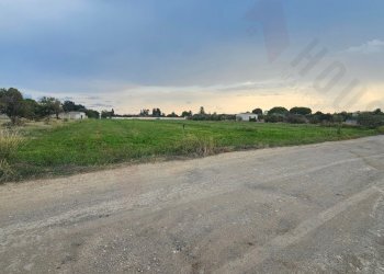 20250930_172342.jpg - Terreno agricolo Strada Comunale Buon Cammino, Quartu Sant'Elena - foto 3