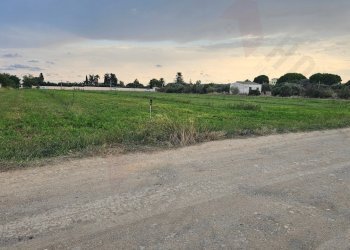 20250930_172347.jpg - Terreno agricolo Strada Comunale Buon Cammino, Quartu Sant'Elena - foto 4