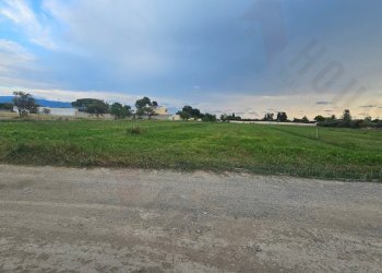 20250930_173110.jpg - Terreno agricolo Strada Comunale Buon Cammino, Quartu Sant'Elena - foto 5