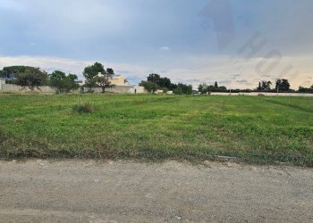 20250930_173114.jpg - Terreno agricolo Strada Comunale Buon Cammino, Quartu Sant'Elena - foto 6