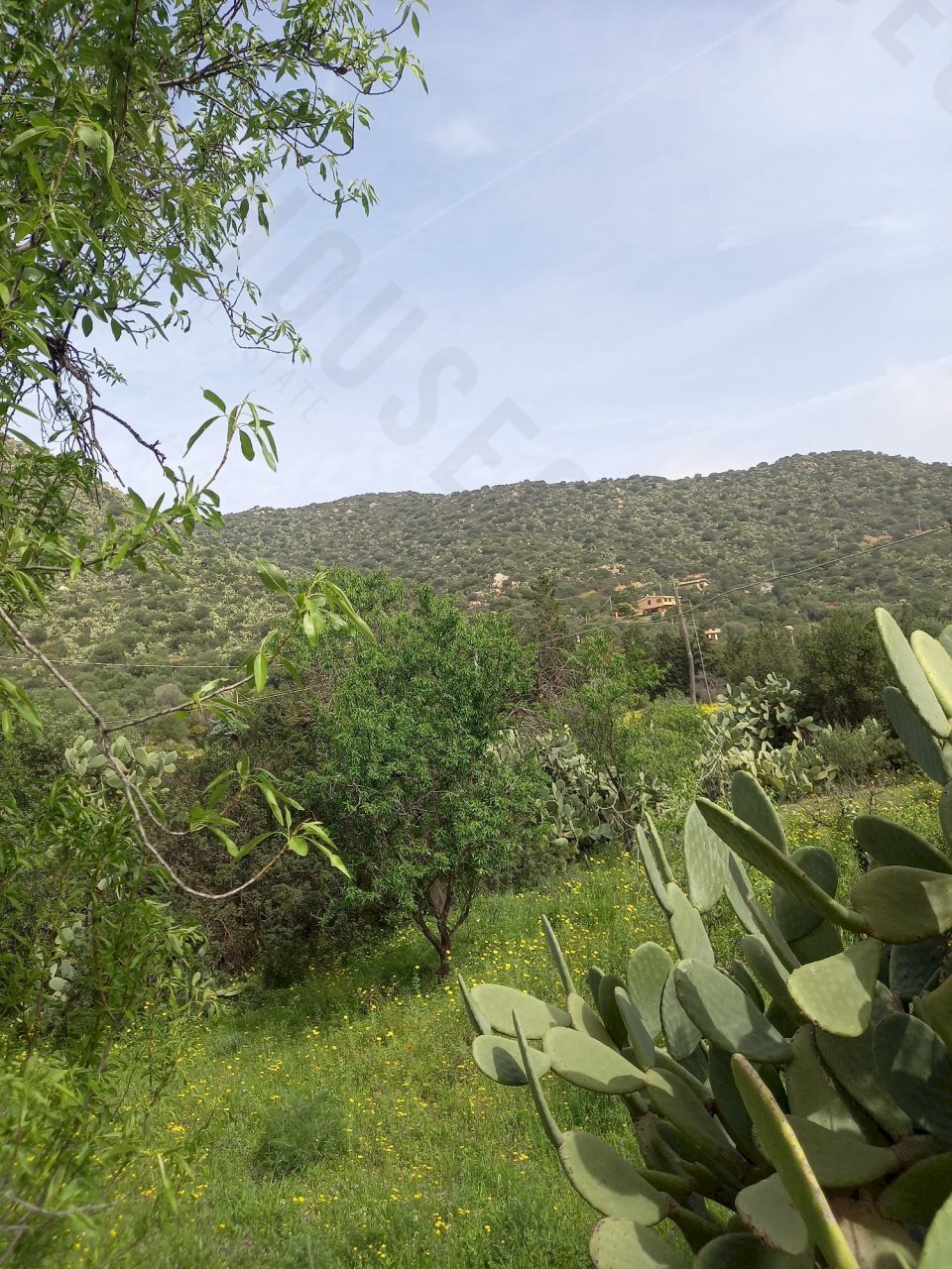 IMG-20250324-WA0008.jpg - Terreno edificabile Strada provinciale 17, Maracalagonis - foto 1