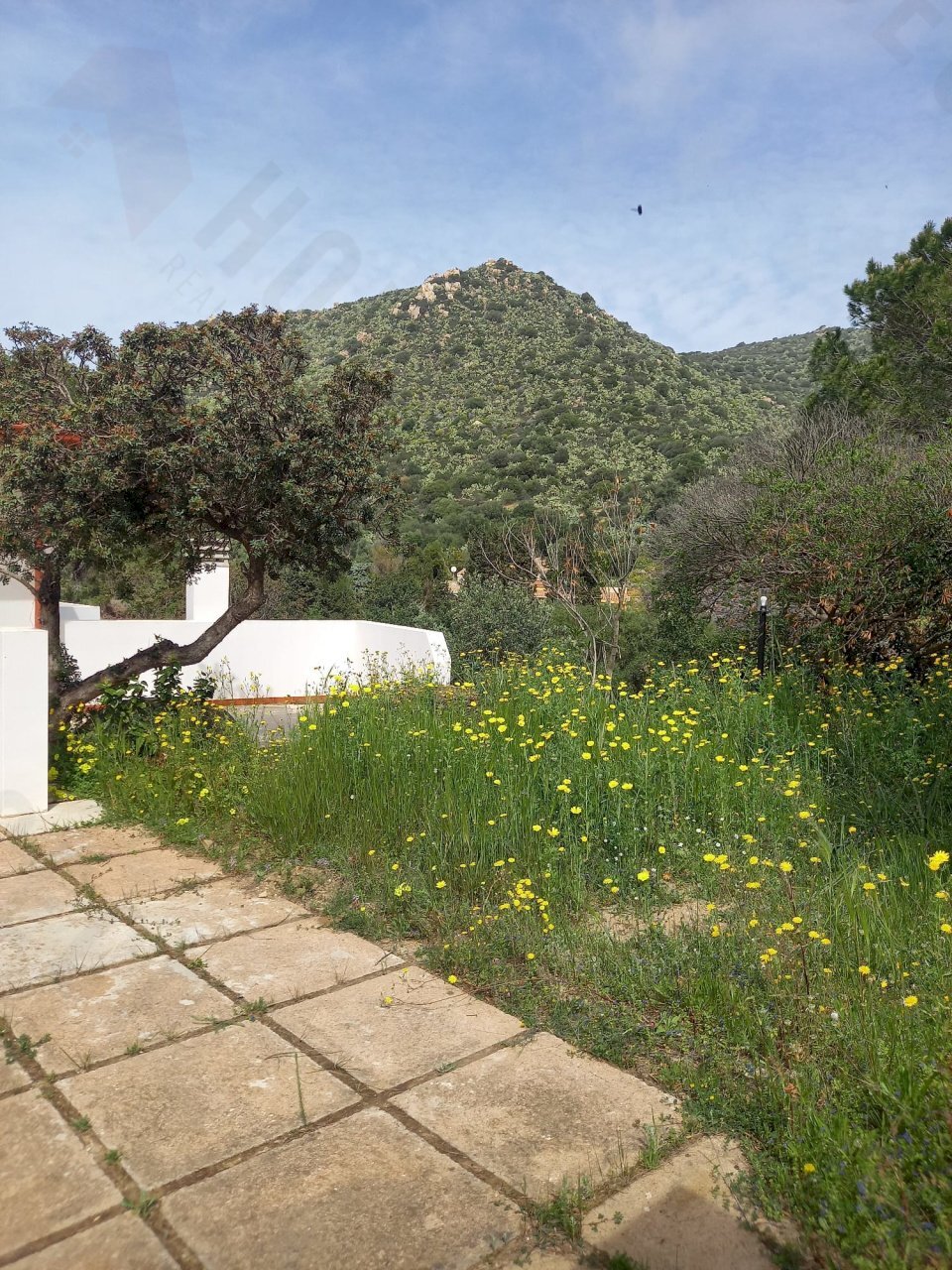 IMG-20250324-WA0001.jpg - Terreno edificabile Strada provinciale 17, Maracalagonis - foto 3