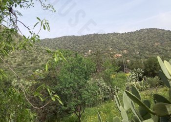 IMG-20250324-WA0008.jpg - Terreno edificabile Strada provinciale 17, Maracalagonis - foto 1