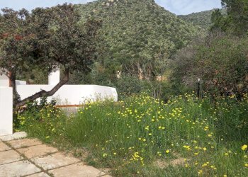 IMG-20250324-WA0001.jpg - Terreno edificabile Strada provinciale 17, Maracalagonis - foto 3