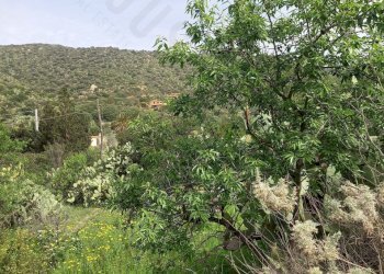 IMG-20250324-WA0010.jpg - Terreno edificabile Strada provinciale 17, Maracalagonis - foto 7