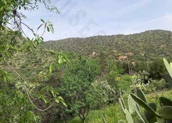 IMG-20250324-WA0009.jpg - Terreno edificabile Strada provinciale 17, Maracalagonis - foto 8