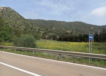 IMG-20250324-WA0005.jpg - Terreno edificabile Strada provinciale 17, Maracalagonis - foto 10