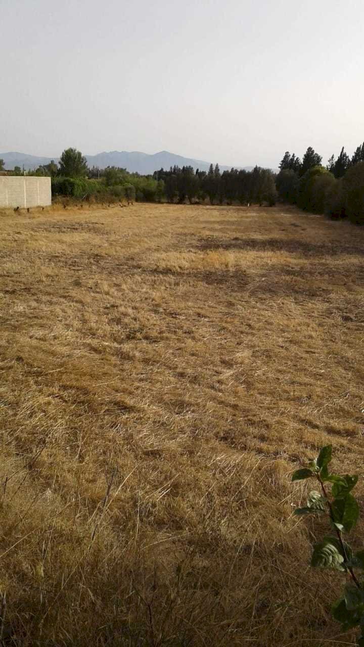 1.jpg - Terreno agricolo San Sperate - foto 1