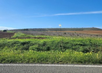 1.jpg - Terreno agricolo Ussana - foto 1