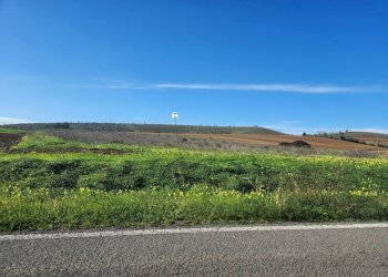 2.jpg - Terreno agricolo Ussana - foto 2