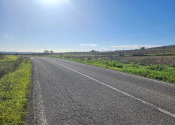 3.jpg - Terreno agricolo Ussana - foto 3