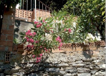 Schermata 2025-08-12 alle 11.54.12.png - Villa Ameglia - foto 1