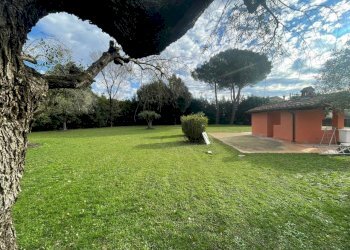 WhatsApp Image 2025-01-15 at 13.23.38.jpeg - Villa Castelnuovo Magra - foto 4
