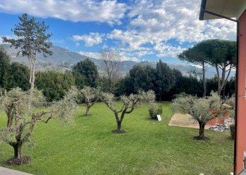 WhatsApp Image 2025-01-15 at 13.23.41(1).jpeg - Villa Castelnuovo Magra - foto 12