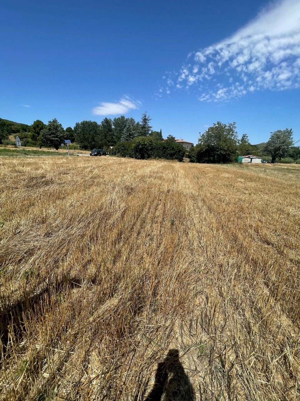 viste - Terreno edificabile Vocabolo Trebbiano SNC, Piegaro - foto 3