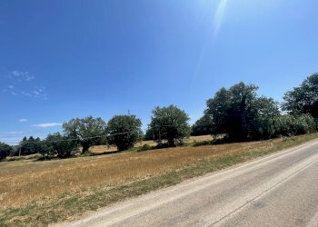 viste - Terreno edificabile Vocabolo Trebbiano SNC, Piegaro - foto 8