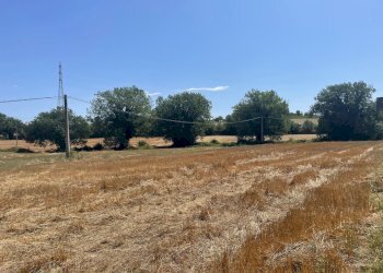 viste - Terreno edificabile Vocabolo Trebbiano SNC, Piegaro - foto 9